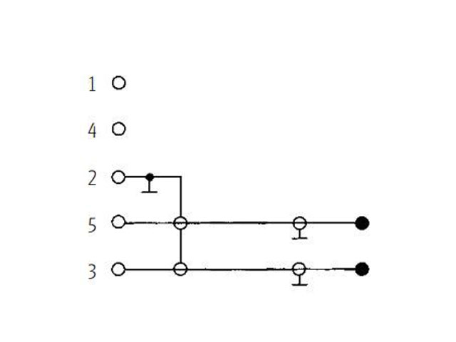 Redukce pětikolíku DIN / 2 x CINCH
